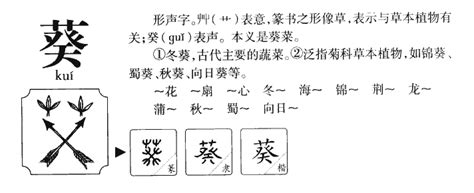 葵 五行|葵字的五行是什么,葵的五行属性及吉利寓意